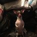Gerald Presnell - Facebook