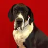 Jerry Pridemore - @user4827013906543 - TikTok