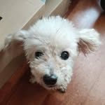 Jerry J - @jerry_priest6 - Instagram