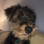 Jerry Pringle - @santiago_anderson2003 - Instagram