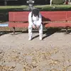 lil_jerry_pringles - @lil_jerry_pringle - TikTok