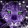 Jerry Ptacek - @user3321042391962 - TikTok