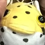 Jerry [He/They] - @jerry_the_pufferfish - Instagram