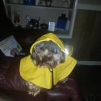 Jerry Purdom - Facebook