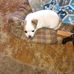 Gerry Putman - Facebook