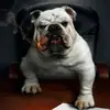 Jerry Quick439 - @opusx60 - TikTok