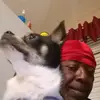 jerryquick71 - @jerryquick71 - TikTok