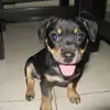 Jerry Quintero - @jerryquintero0 - TikTok