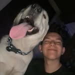 Jerry Quintero - @jerryquin_21 - Instagram