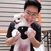 Jerry Rak - @jerryrak18 - TikTok