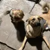 Jerry&Ranger - @_luvedits_626 - TikTok
