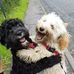 Jerry RappTwo - Facebook
