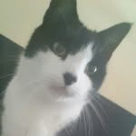 Jerry Gops Rayner - @jerrygops - Instagram