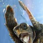 Jerry Reardon - @reardonjerry - Instagram