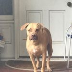 Jerry Redmond - @jerry.redmond.98837 - Instagram
