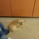 Jerry Redmond - @redmond.jerry - Instagram