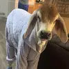 jerryrenner611 - @jerryrenner611 - TikTok