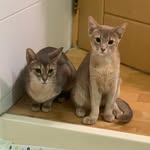 @jerry_rex_ - Instagram