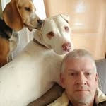 Jerry Rex Carroll - @jerryrexcarroll - Instagram