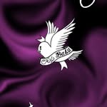 Jerry - @rippyjerry2 - Instagram