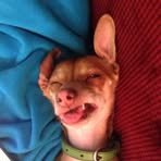 Jerry Rita - Facebook