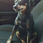 Jerry Tex Ritter - @jerrytexritter - Instagram
