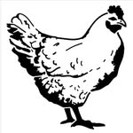 Jerry Rivard - @chickenguy234 - Instagram