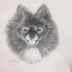 Jerry Rivard - Facebook
