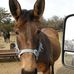 Jerry Robison - Facebook