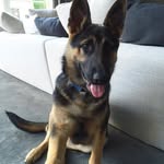 Rocco Jerry Stark - @roccojerry_gs - Instagram