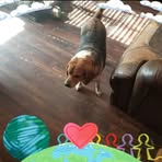 Jerry Roff - Facebook
