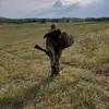 _jerry_rogers - @_jerry_rogers - TikTok