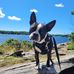 Jerry Roger - Facebook