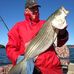 Jerry Rolfe - Facebook
