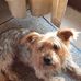 Gerry Rolfe - Facebook