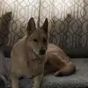 Jerry Ronk - @jerry.ronk0 - TikTok