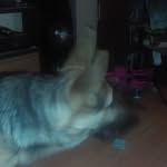 Jerry Ronk III - @jerryronkiii - Instagram