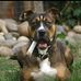 Jerry Rooks - Facebook
