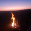 Jerry Roos☘️🌹 - @jerryroos3482 - TikTok