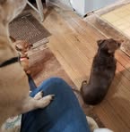 Jerry Row - Facebook
