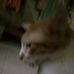 Jerry Roncal - Facebook