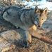 Jerry Ruble - Facebook
