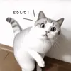睿jerry - @jerry_ruei - TikTok