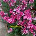 Jerry Ruby - Facebook