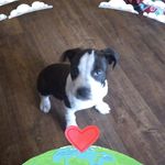 Jerry ruth - @jerryruth976 - Instagram
