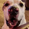 Jerry Sadowski - @jerry.sadowski - TikTok