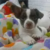 Jerry saenz - @jerry.saenz1 - TikTok
