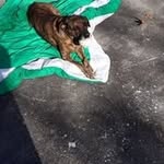Jerry Salmon - @jerrysalmon9 - Instagram