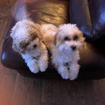 Jerry  Sample - Facebook