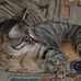 Jerry Sandstrom - Facebook